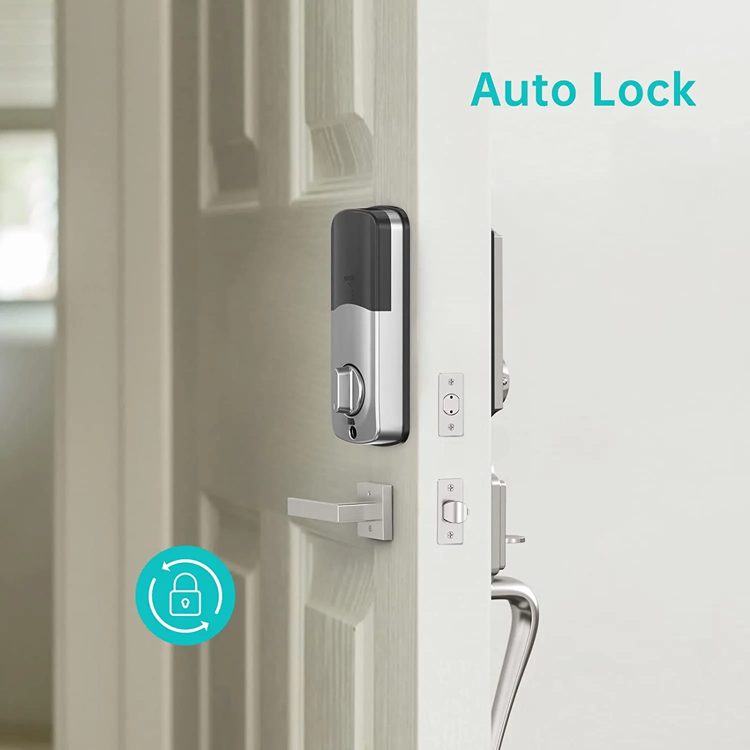 Hornbill Electronic Front Smart Home Door Lock - Keyless Wifi Keypad Unlock