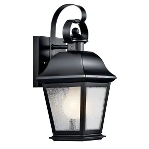 Mount Vernon 13 In 1-Light Outdoor Wall Light With Clear Seeded Glass, Black Finish