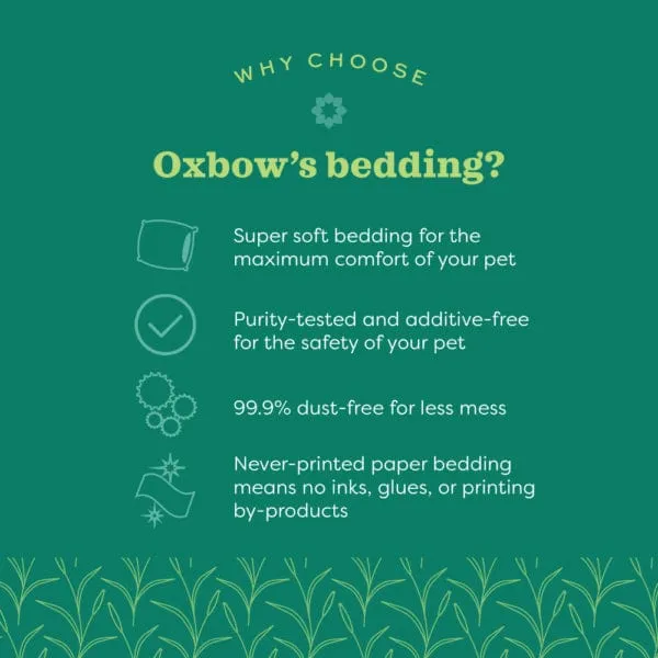 Oxbow Pure Comfort White Bedding