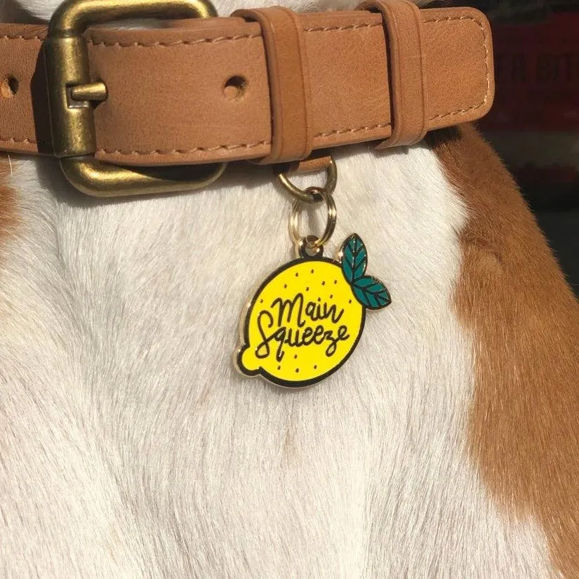 Pet ID Tag "Main Squeeze" from Two Tails Pet Company